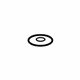 GM 95975658 Plate