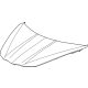 GM 85565241 Hood