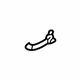 GM 15761199 Grip Handle, Passenger Side