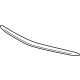 GM 84674401 Upper Molding, Silver