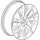 GM 60008529 Wheel, Rear Or Spare