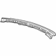 GM 20996795 Drip Channel, Rear