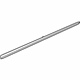 GM 23409489 Body Side Molding, Passenger Side