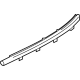GM 85622136 Belt Molding, Rear Passenger Side