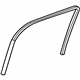 GM 22802936 Run Channel, Rear Outer Driver Side