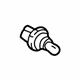GM 19257055 Bulb & Socket GM 19257055 Bulb & Socket