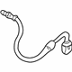 GM 18037540 Brake Hose, Passenger Side