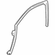 GM 25770706 Glass Weatherstrip, Front Driver Side