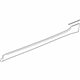 GM 13470695 Rocker Molding, Driver Side
