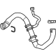 GM 85119169 Lower Hose