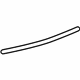 GM 25840875 Stripe, Silver, Driver Side GM 25840875 Stripe, Silver, Driver Side