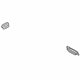 GM 9067250 Defroster Grille