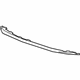 GM 39020288 Lower Molding