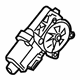 GM 84005621 Window Motor, Driver Side