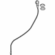 GM 12684910 Dipstick GM 12684910 Dipstick