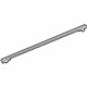 GM 23224856 Upper Molding, Silver, Rear Passenger Side
