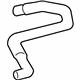 GM 15659486 Upper Hose GM 15659486 Upper Hose