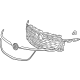 GM 85565656 Grille Assembly