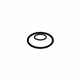 GM 20049623 Bezel Nut GM 20049623 Bezel Nut