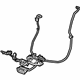 GM 22752489 Harness, Driver Side GM 22752489 Harness, Driver Side