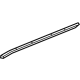 GM 84741566 Lower Weatherstrip, Passenger Side
