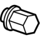GM 85002878 Center Cap