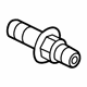 GM 19317942 Oil Cooler Bolt GM 19317942 Oil Cooler Bolt