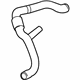 GM 13251439 Lower Hose GM 13251439 Lower Hose