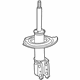 GM 19208307 Strut, Passenger Side
