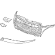 GM 26560310 Grille Assembly-Front *Black