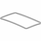 GM 84187590 Glass Weatherstrip GM 84187590 Glass Weatherstrip