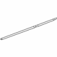 GM 25911895 Lower Weatherstrip, Driver Side GM 25911895 Lower Weatherstrip, Driver Side