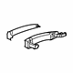 GM 13509685 Handle, Outside, Silver Insert GM 13509685 Handle, Outside, Silver Insert