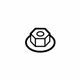 GM 19316156 Finish Molding Nut GM 19316156 Finish Molding Nut