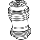 GM 85798558 Spring-Rear Air GM 85798558 Spring-Rear Air