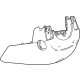 GM 84910415 Cover, Steering Column Attaching GM 84910415 Cover, Steering Column Attaching