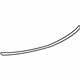 GM 15264308 Molding