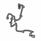 GM 84316324 Harness, Rear GM 84316324 Harness, Rear
