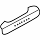 GM 96643513 Pull Handle, Silver Trim