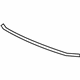 GM 25726831 Reveal Molding