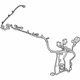 GM 23360180 Harness