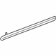 GM 12483101 Side Molding, Front Passenger Side