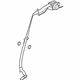 GM 19257568 Outer Belt, Rear Driver Side GM 19257568 Outer Belt, Rear Driver Side