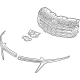 GM 85573296 Grille Assembly GM 85573296 Grille Assembly