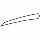 GM 20799498 Trim Molding, Front Driver Side GM 20799498 Trim Molding, Front Driver Side