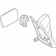 GM 15213853 Mirror Assembly, Rear Driver Side