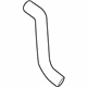 GM 19317259 Upper Hose GM 19317259 Upper Hose