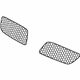 GM 10310168 Inner Grille, Passenger Side