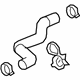 GM 84914054 Lower Hose GM 84914054 Lower Hose