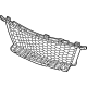 GM 42916289 Grille, Radiator Grille